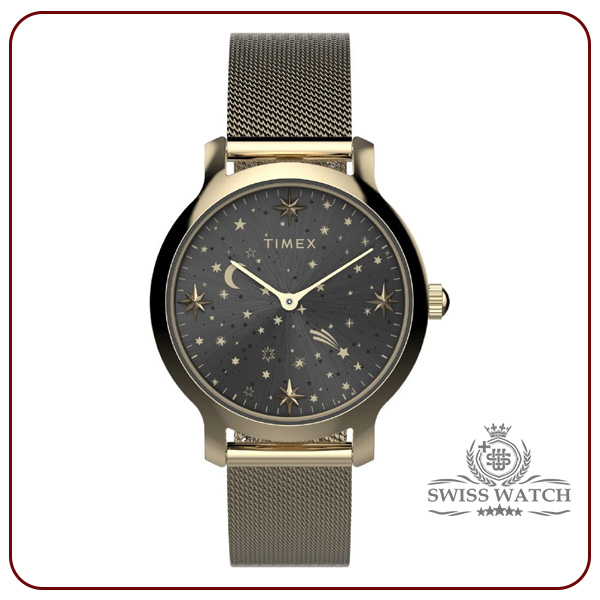 ساعت مچی مردانه تایمکس (Timex) مدل TW2W21500
